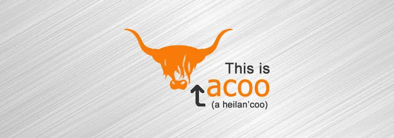 An orange stylised highland cow head on a silver gradient background with the words: This is Acoo - A Heilan'Coo